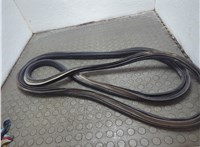 LB5Z78253A10A Уплотнитель Ford Explorer 2019-2025 20737754 #2