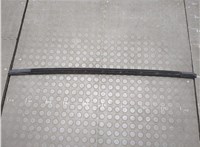 108068450D Молдинг стекла (боковое) Tesla Model 3 2017-2023 20738039 #2