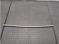 108074600D Молдинг стекла (боковое) Tesla Model 3 2017-2023 20738063 #1