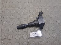 273002GGA0 Катушка зажигания Hyundai Santa Fe 2018-2024 20738442 #1