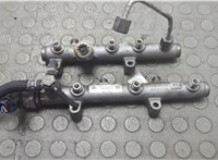  Рампа (рейка) топливная Porsche Cayenne 2002-2010 20748024 #1