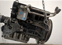  Датчик уровня масла Seat Ibiza 4 2008-2015 11623083 #1