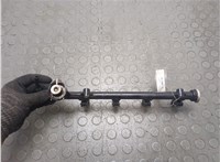  Форсунка топливная Proton Gen 2 2004-2012 20750477 #2