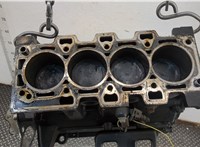  Блок цилиндров (Шорт блок) Proton Gen 2 2004-2012 20750483 #4
