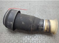 37126790081, 6790081 Пневмоподушка BMW X6 E71 2007-2014 20751420 #5