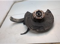 31226867808, 6867808, 31216869869, 6869869, 34116857977 Ступица (кулак, цапфа) BMW X5 E70 2006-2013 20752985 #1