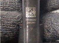 9824388280 Форсунка топливная Peugeot Boxer 2014-2025 20754202 #3