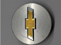 20997899 Колпачок литого диска Chevrolet Blazer 2018-2023 20755916 #1