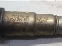 11787558179, 7558179, 0258006864 Лямбда зонд BMW X5 E70 2006-2013 20756178 #2