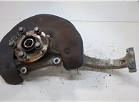 8K0407613B Ступица (кулак, цапфа) Audi SQ5 2013-2017 20758663 #1