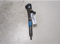 166009445R, 8200294788 Форсунка топливная Renault Megane 3 2009-2016 20761207 #11