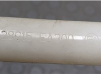 28915EA300 Горловина заливная бачка омывателя Nissan Navara 2004-2015 20763489 #2