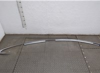 103930800A Молдинг крыши Tesla Model S 2012-2016 20765031 #1