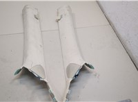 100248500I, 100744100I Обшивка стойки Tesla Model S 2012-2016 20765274 #1