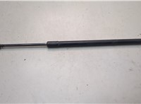 FB5378406A11AF Амортизатор капота Ford Explorer 2015-2019 20765532 #1