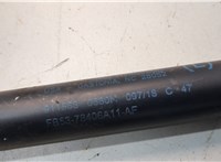 FB5378406A11AF Амортизатор капота Ford Explorer 2015-2019 20765532 #2