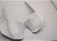 100251000D, 100745700D Обшивка стойки Tesla Model S 2012-2016 20765543 #1