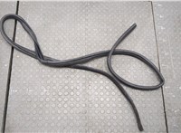 CJ54S25325AE Уплотнитель Ford Escape 2015-2019 20765745 #1