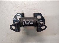 600955500D Петля двери Tesla Model S 2012-2016 20766009 #1