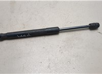 6R3Z63406A10B Амортизатор крышки багажника Ford Mustang 2005-2009 20767267 #1