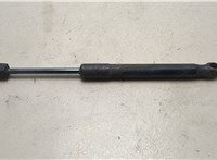 6R3Z63406A10B Амортизатор крышки багажника Ford Mustang 2005-2009 20767270 #1