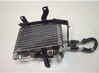 255006L5A010M1 Радиатор АКПП Honda Insight 2018-2022 20769031 #1