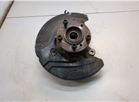 31206877562, 6877562, 31216788699, 6788699, 34116787319 Ступица (кулак, цапфа) BMW X1 (E84) 2009-2015 20769164 #1