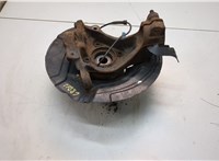 31206877562, 6877562, 31216788699, 6788699, 34116787319 Ступица (кулак, цапфа) BMW X1 (E84) 2009-2015 20769164 #2