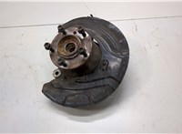 31206877562, 6877562, 31216788700, 6788700, 34116787320 Ступица (кулак, цапфа) BMW X1 (E84) 2009-2015 20770094 #1