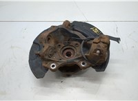 31206877562, 6877562, 31216788700, 6788700, 34116787320 Ступица (кулак, цапфа) BMW X1 (E84) 2009-2015 20770094 #2