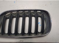  Решетка радиатора BMW X3 E83 2003-2010 20771785 #1