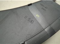 PPTD20 Накладка под фонарь Nissan Murano 2008-2015 20772788 #4