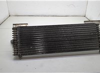 4L2H7A095AA Радиатор масляный Ford Explorer 2001-2006 20773321 #1