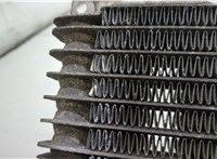 4L2H7A095AA Радиатор масляный Ford Explorer 2001-2006 20773321 #4