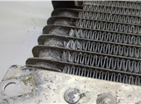 4L2H7A095AA Радиатор масляный Ford Explorer 2001-2006 20773321 #8