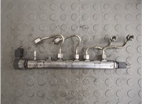  Рампа (рейка) топливная BMW 5 F10 2010-2017 20774803 #1