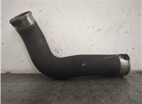 11617810615 Патрубок интеркулера BMW 5 F10 2010-2017 20774812 #3