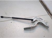 654711AA0A Амортизатор капота Nissan Murano 2008-2015 11590528 #1