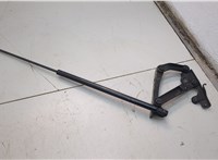 A2208800329 Амортизатор капота Mercedes S W220 1998-2006 11590530 #1