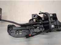 E1GZ2455A Узел педальный (блок педалей) Ford Edge 2015-2018 20776448 #1