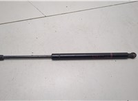 15120902 Амортизатор капота GMC Terrain 2017-2024 20776722 #1