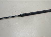 3L2Z78406A11AA Амортизатор крышки багажника Ford Explorer 2001-2006 20779300 #1