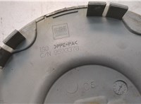 09595401, 9593378 Колпачок литого диска Chevrolet Trailblazer 2001-2010 20779585 #3