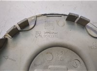 09595401, 9593378 Колпачок литого диска Chevrolet Trailblazer 2001-2010 20779586 #3