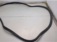 72315SZNA01ZA, 72355SZNA01ZA Уплотнитель Acura ZDX 2009-2013 20779600 #1