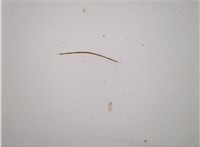  Ручка двери салона Opel Movano 2010- 11592251 #9