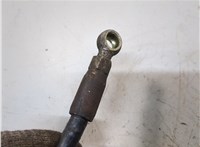 A1233200215 Гидроаккумулятор (груша) Mercedes S W126 1979-1991 20780394 #3