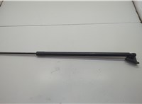 2065247, GV41S406A11AB Амортизатор крышки багажника Ford Escape 2015-2019 20780980 #1