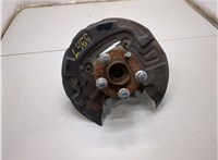 E1GZ1104G, E1GZ5B758B, E1GZ2C028A Ступица (кулак, цапфа) Ford Edge 2015-2018 20781370 #1