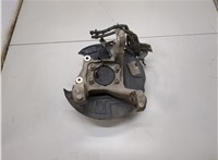 E1GZ1104G, E1GZ5B759B, E1GZ2C028B Ступица (кулак, цапфа) Ford Edge 2015-2018 20781373 #2